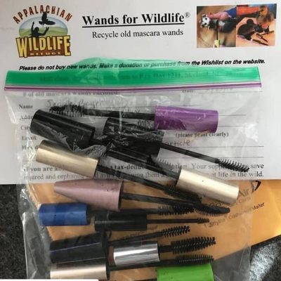 How to Reuse a Mascara Wand?