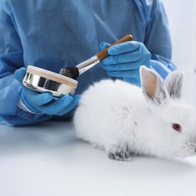 How to Test Cosmetics?